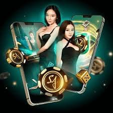 swan789